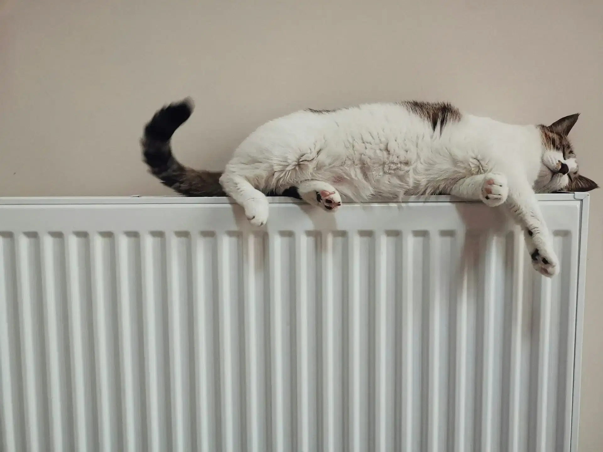 Image of Electric Heating