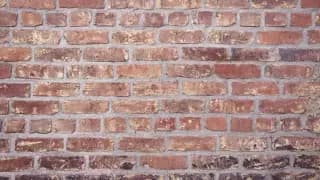 Solid Wall Insulation