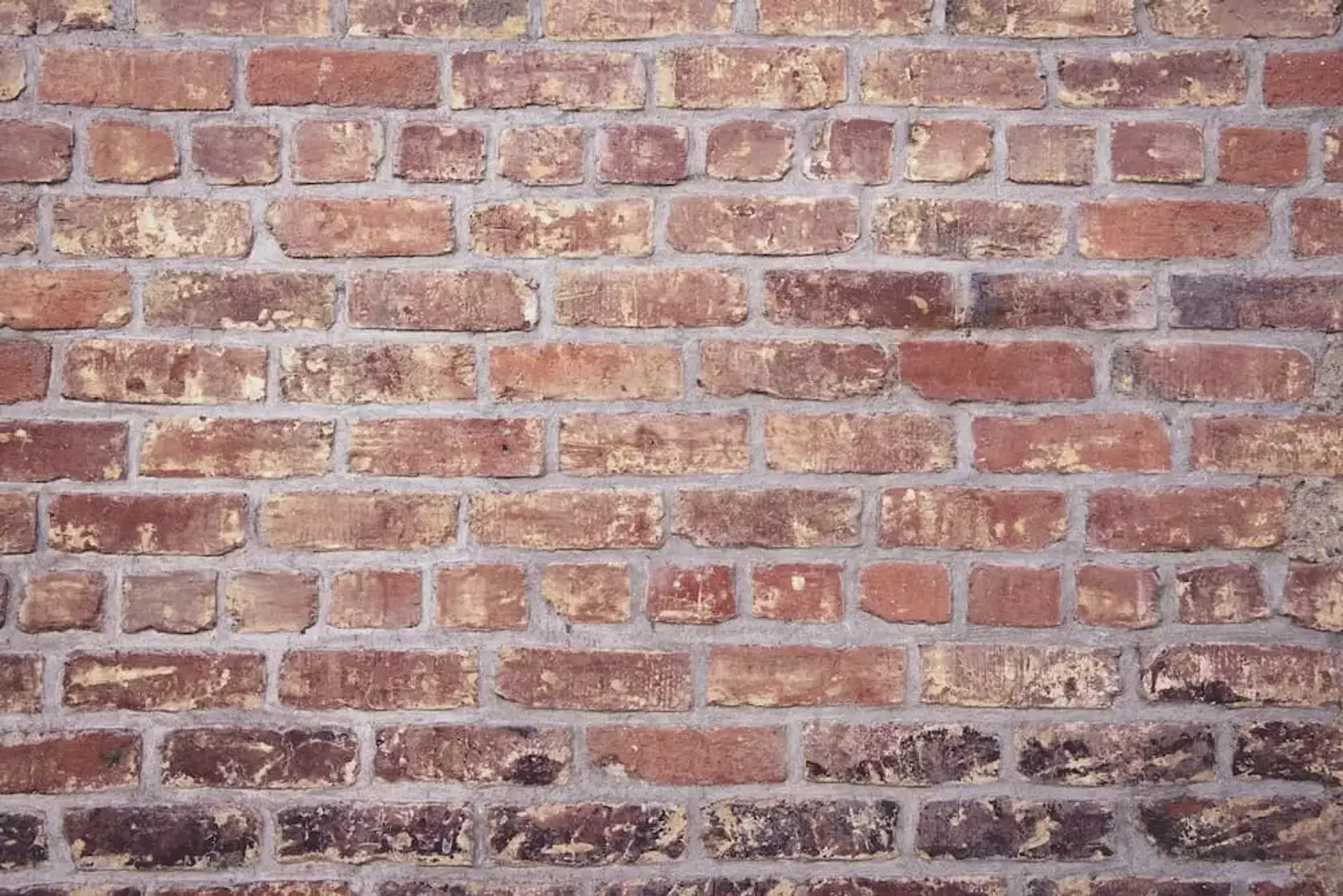 Solid Wall Insulation
